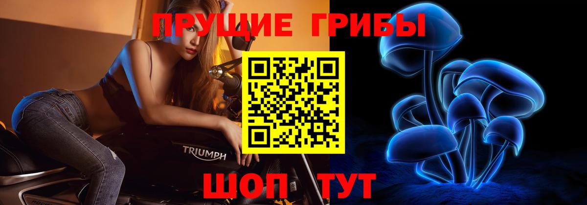 Псилоцибиновые грибы Psilocybe  Вход с VPN  Псилоцибиновые грибы мухоморы  Балашиха 